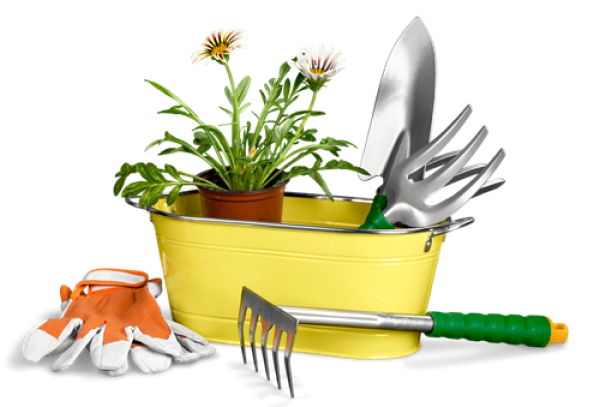 Un pot de fleur avec deux margueurites et des outils de jardinage