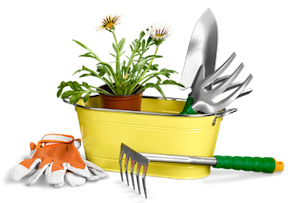 Un pot de fleur avec deux margueurites et des outils de jardinage